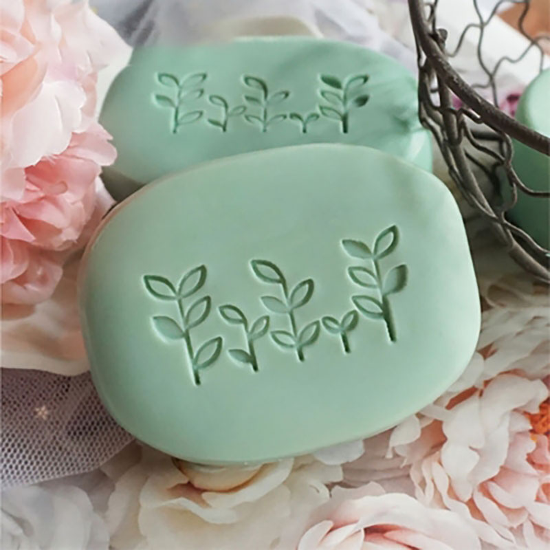 Gepersonaliseerde aangepaste z - Soap Making Diy Kit recensie en prijs